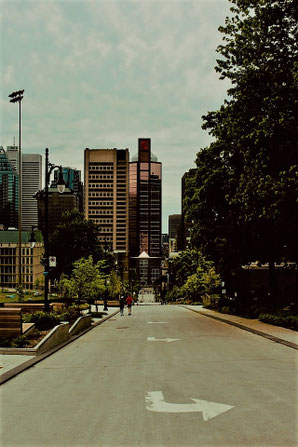 Environmental Consultant Montreal